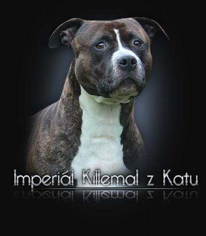 ikonka imperial